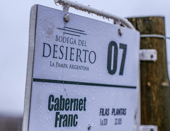 Bodegas del Desierto, de la provincia de La Pampa, despidió trabajadores 