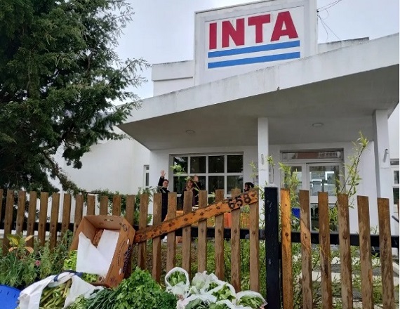 El Gobierno nacional planificó un plan de retiros voluntarios para deshacerse de un tercio de los empleados del INTA