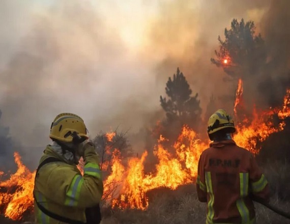 ATE inicia protestas en Parques Nacionales ante la amenaza de Adorni de despedir a más de 380 trabajadores