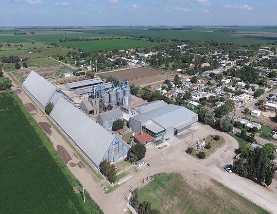 Una productora de maní frenó su producción y 70 empleados quedaron sin trabajo