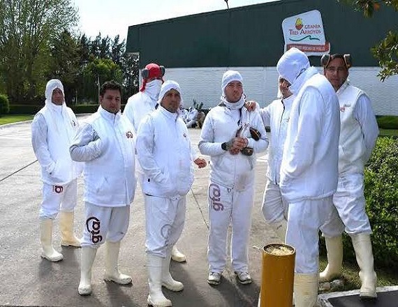 Suspenden a 300 trabajadores de Granja Tres Arroyos por todo agosto 