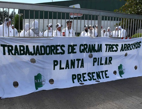 Granja Tres Arroyos ofrece pagar con pollos parte de los salarios