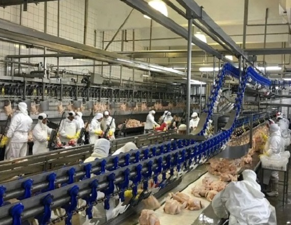 Los trabajadores comenzaron a reunir documentación y evaluar eventuales cuestionamientos a la medida, ya que la invocación del artículo 247 no implica automáticamente que el encuadramiento quede acreditado.