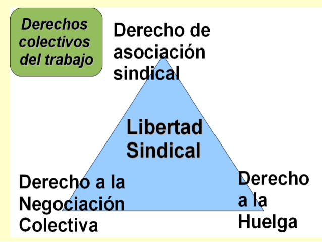 Rosana Bertone ha hecho público su pensamiento político e ideológica sobre la actividad sindical. 